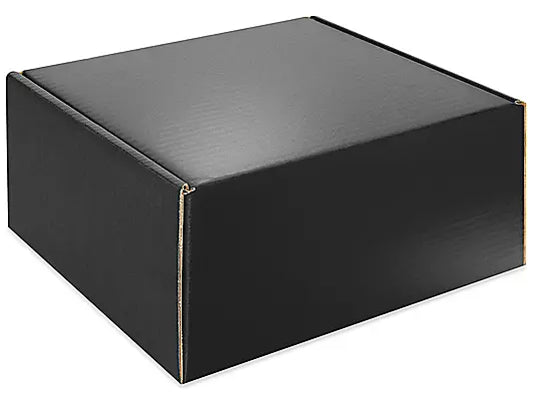 Black Box (12" x 12" x 6")